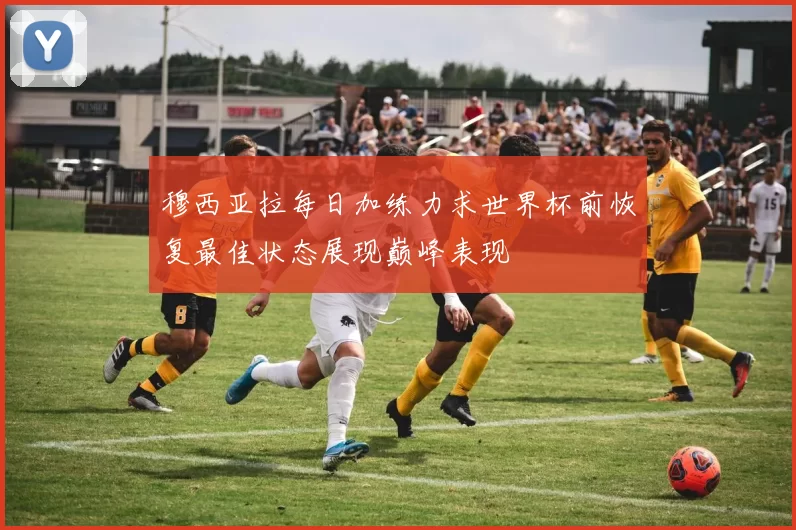 穆西亚拉每日加练力求世界杯前恢复最佳状态展现巅峰表现