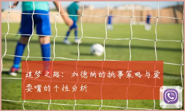追梦之路：加德纳的挑事策略与爱耍嘴的个性分析