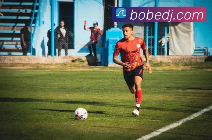 BOB电竞平台生态图